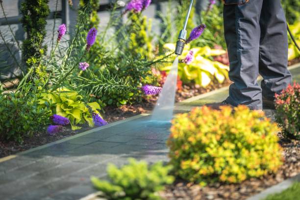 Best Winterizing Services  in Onancock, VA